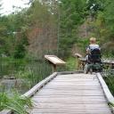 Boardwalk at Pender Harbour Marsh