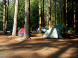 Roberts Creek