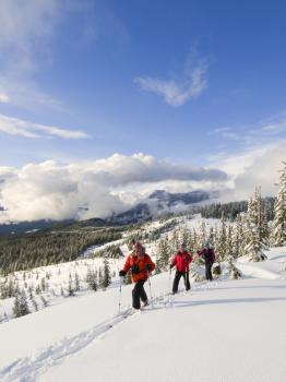 Winter Activities