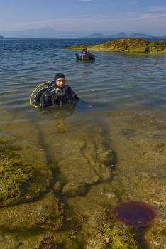 Winter Diving