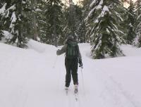 Cross country skiing at Dakota Ridge on the Sunshine Coast