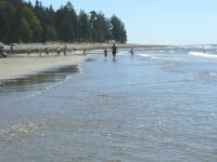 Bonniebrook Beach on Gibsons' Ocean Beach Esplanade