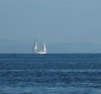 Sailing in Georgia Strait