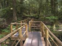 Cliff Gilker Park, Roberts Creek
