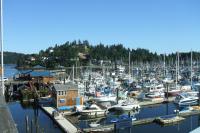 Gibsons Marina
