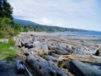 Roberts Creek Beach
