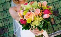 sunshine coast weddings