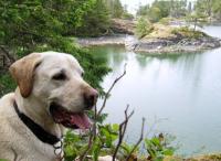 My trusty companion, Toby